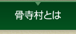 骨寺村とは