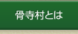 骨寺村とは